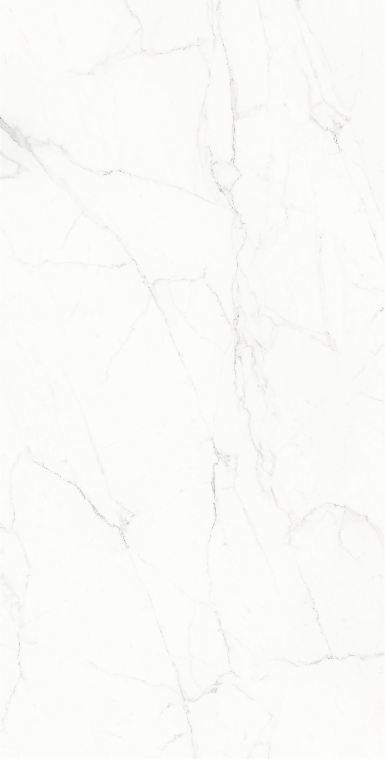 White texture