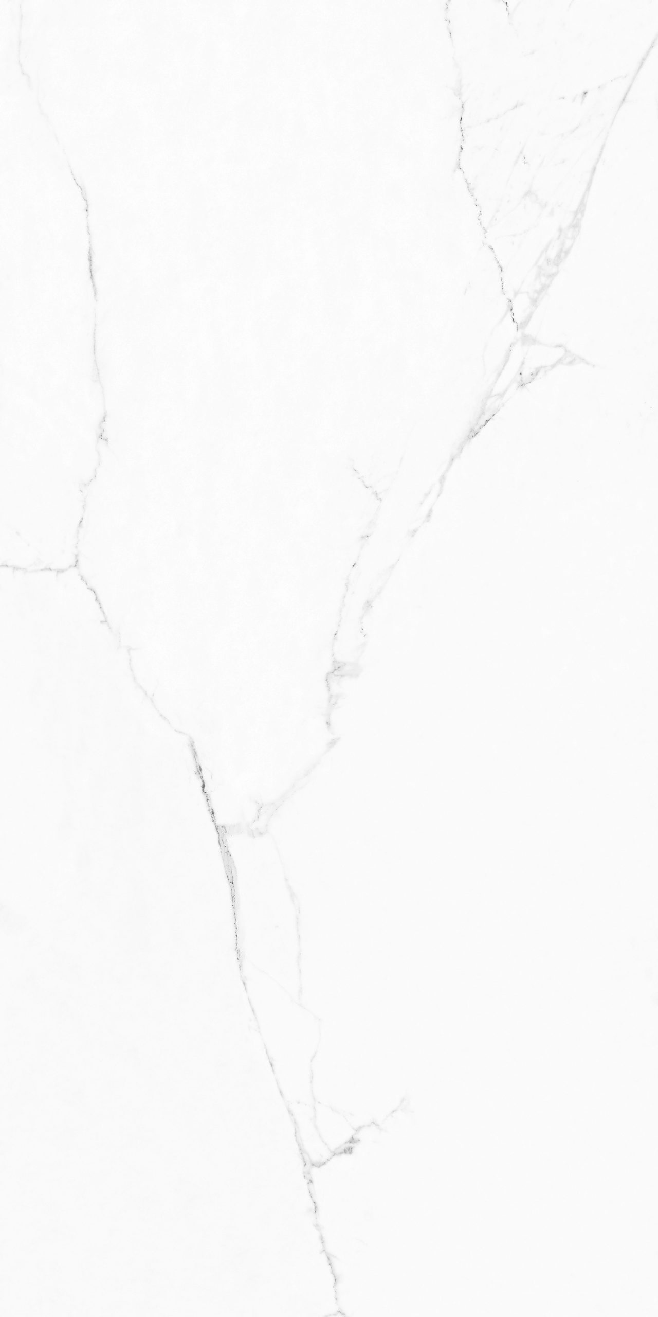 White texture