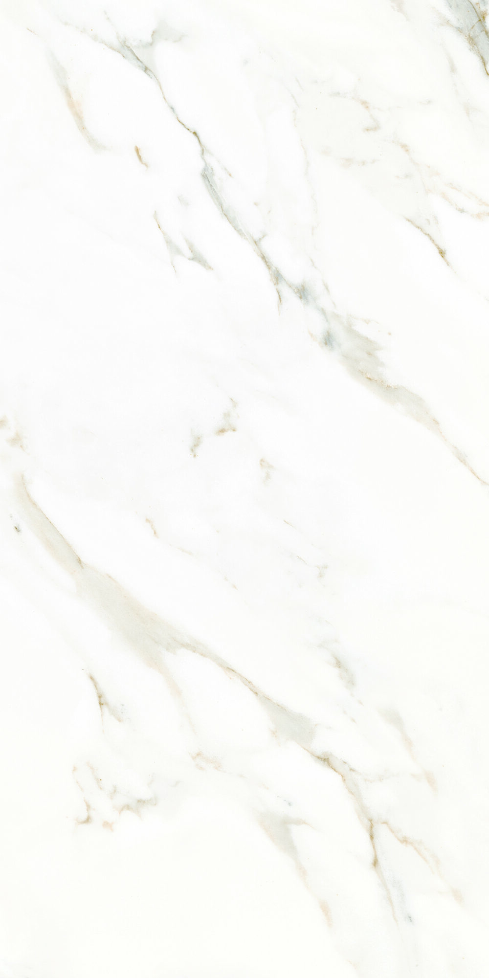 White texture