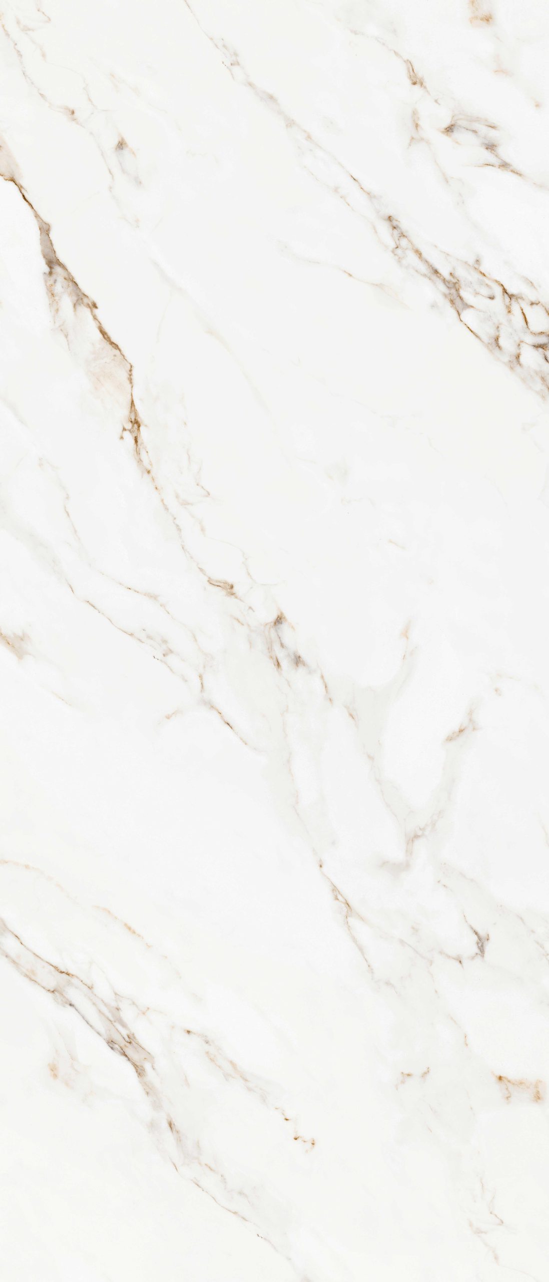 Calacatta Gold
