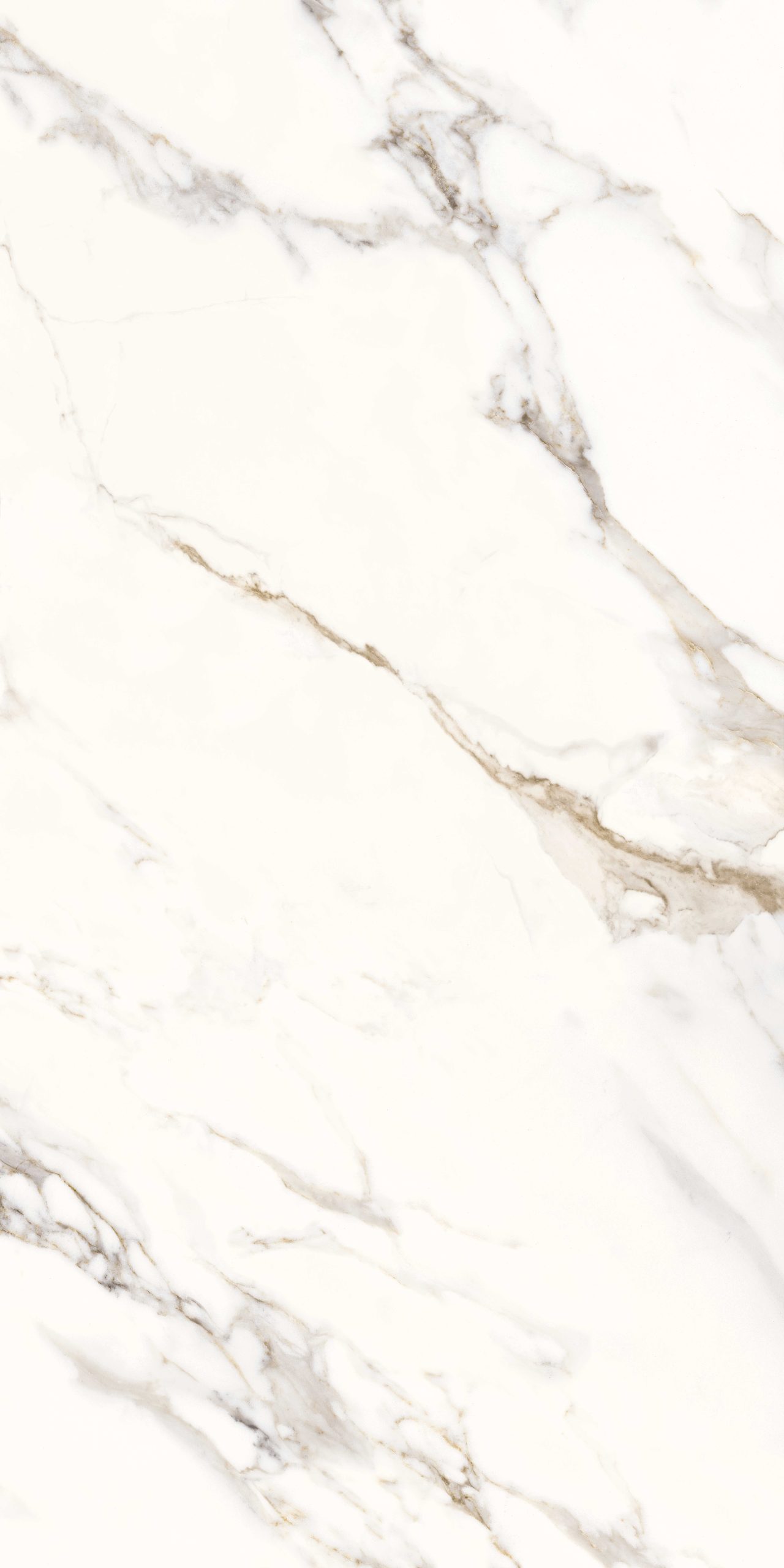 White texture