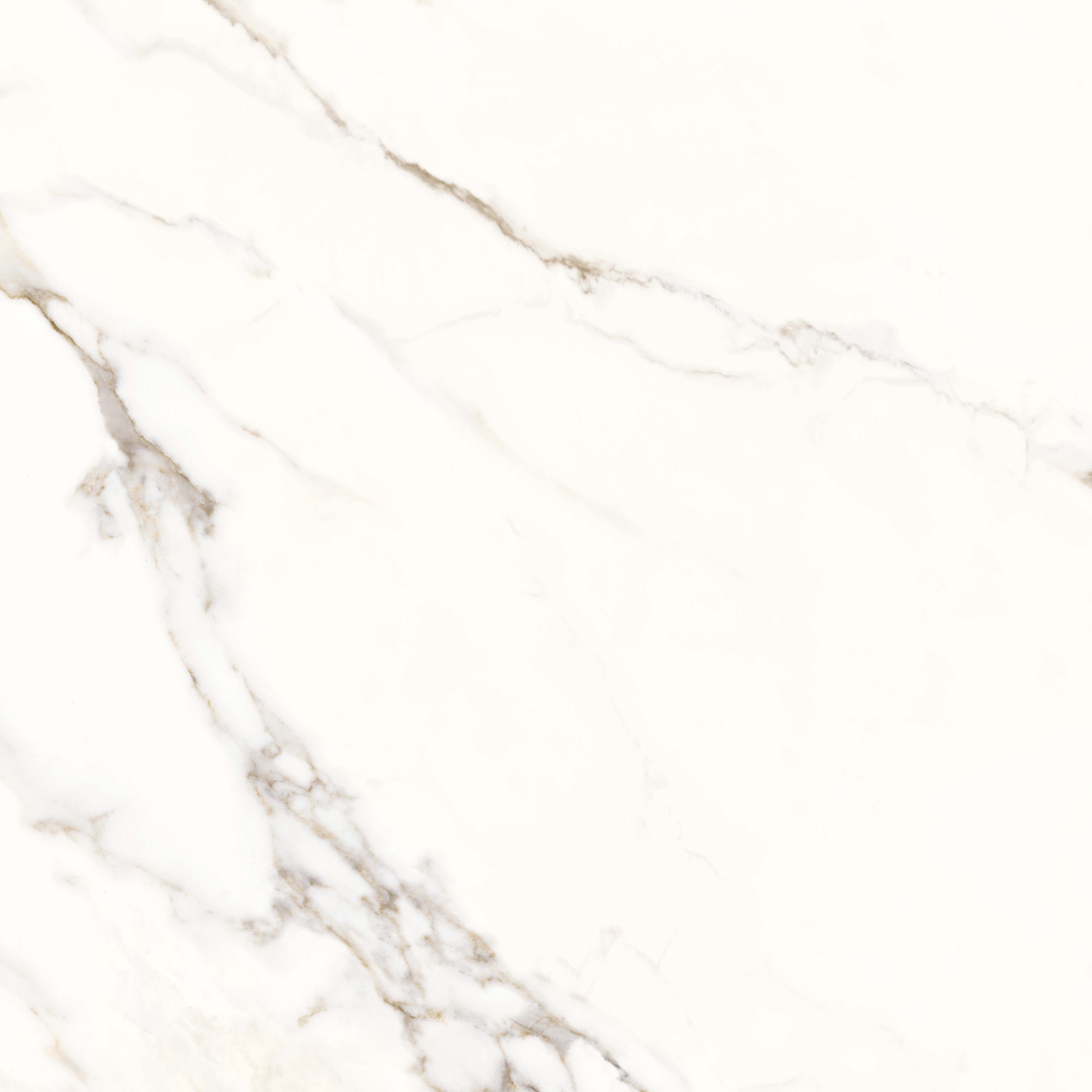 White texture