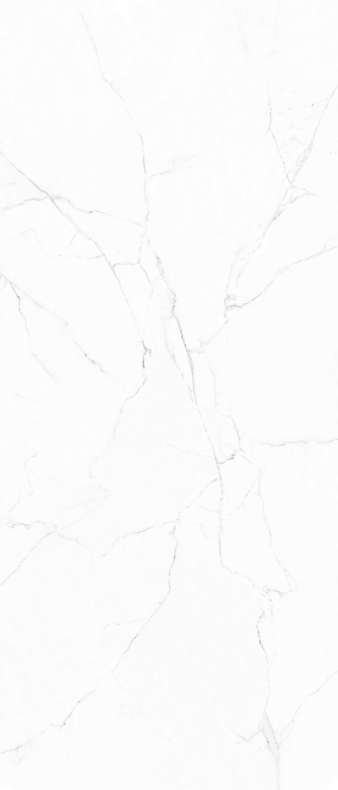 White texture