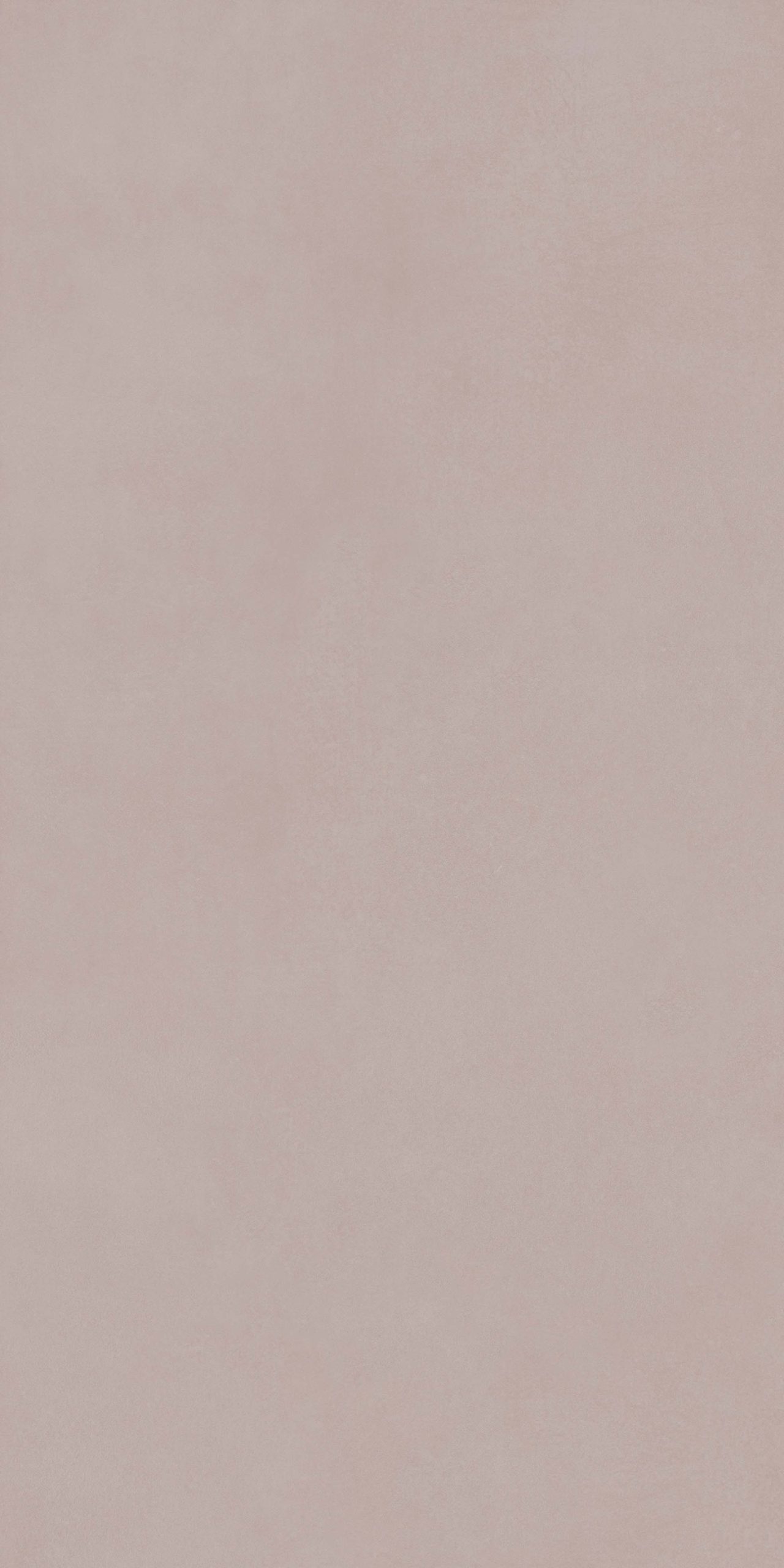 Rose Blush texture